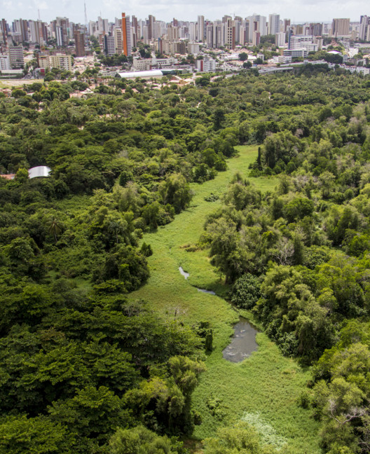 Fortaleza lança programa para implementar microparques e ciclovias arborizadas - Imagem 2 de 3