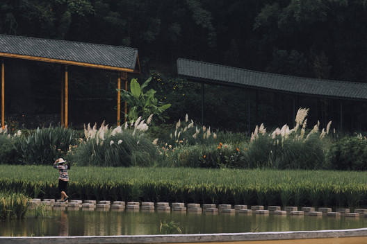 Bamboo Branch Academy / Archermit Bamboo Branch Academy / Archermit - Exterior Photography