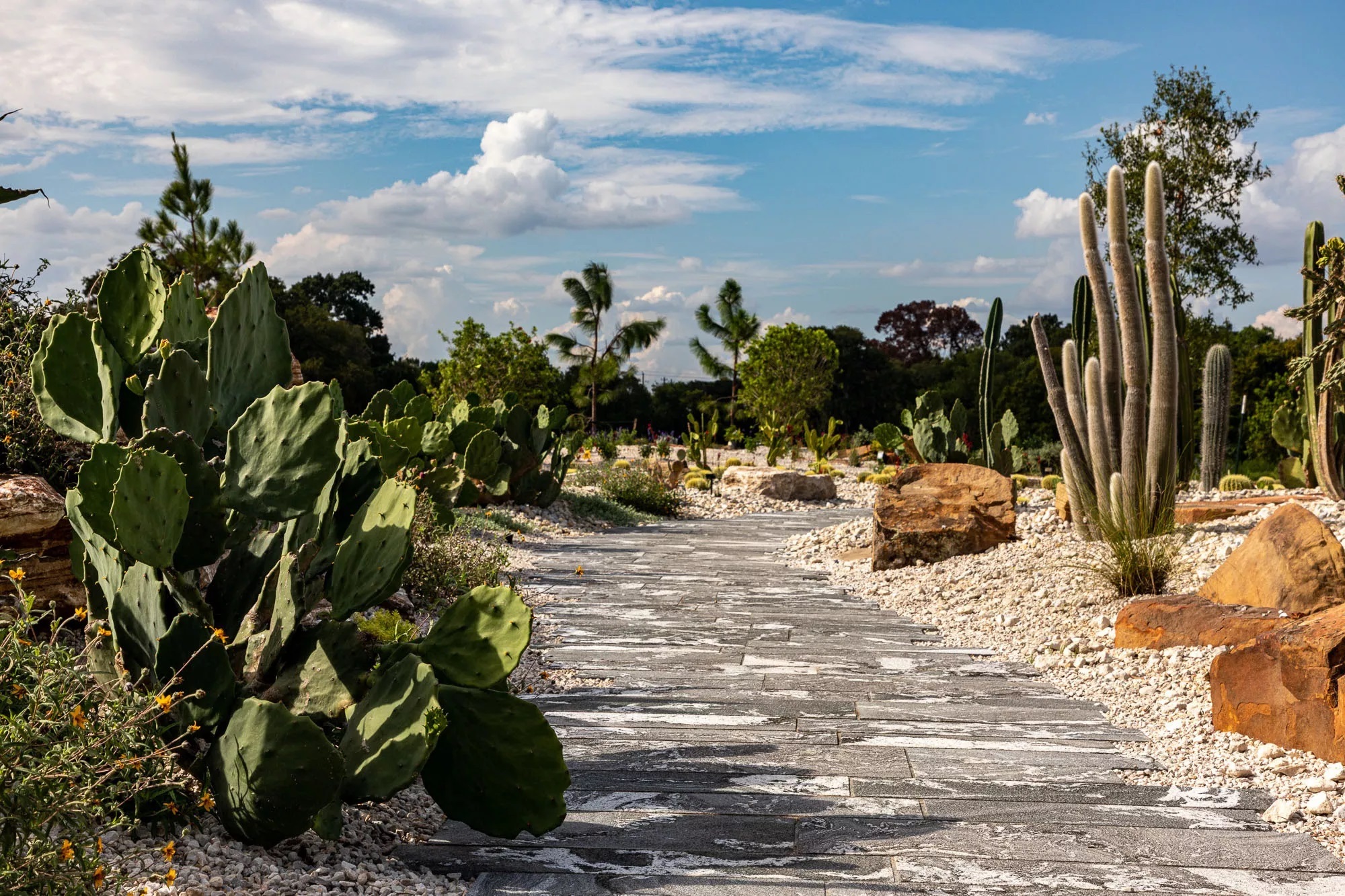 Gallery of Houston�s First Botanic Garden Opens as a