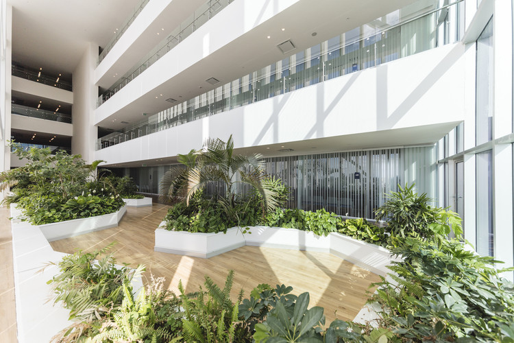 Hospital Faro del Mayab / Grupo Arquidecture - Fotografía interior, Fachada, Jardín