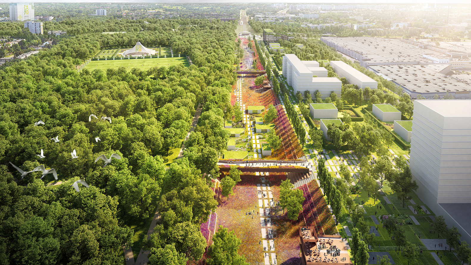Gallery of Chapman Taylor Designs Masterplan for the World Horticultural Expo in Poland's Third-Largest City - 10