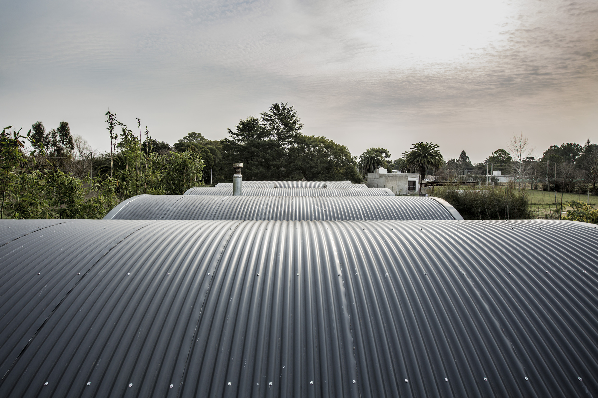 Gallery of Rodney House / BAAG 15