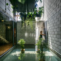 Brazilian Interiors: Projects with Interior Gardens - Imagen 2 de 4