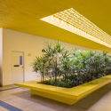 Interiores brasileños: 10 proyectos con jardín interior - Image 1 of 4