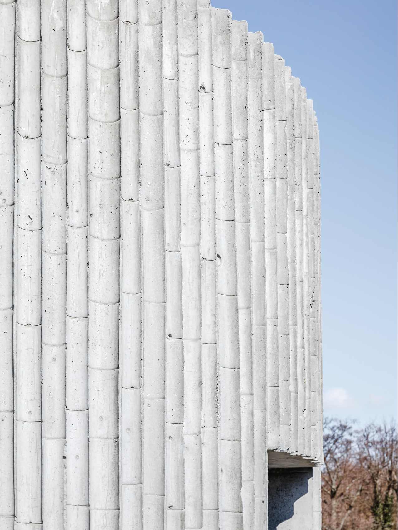 Gallery of Bamboo Formwork and Exposed Concrete in Architectural
