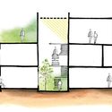 CONCEPTUAL SECTION - The Box House: Ng&ocirc;i nh&agrave; với những mảng xanh đồng bộ với thi&ecirc;n nhi&ecirc;n
