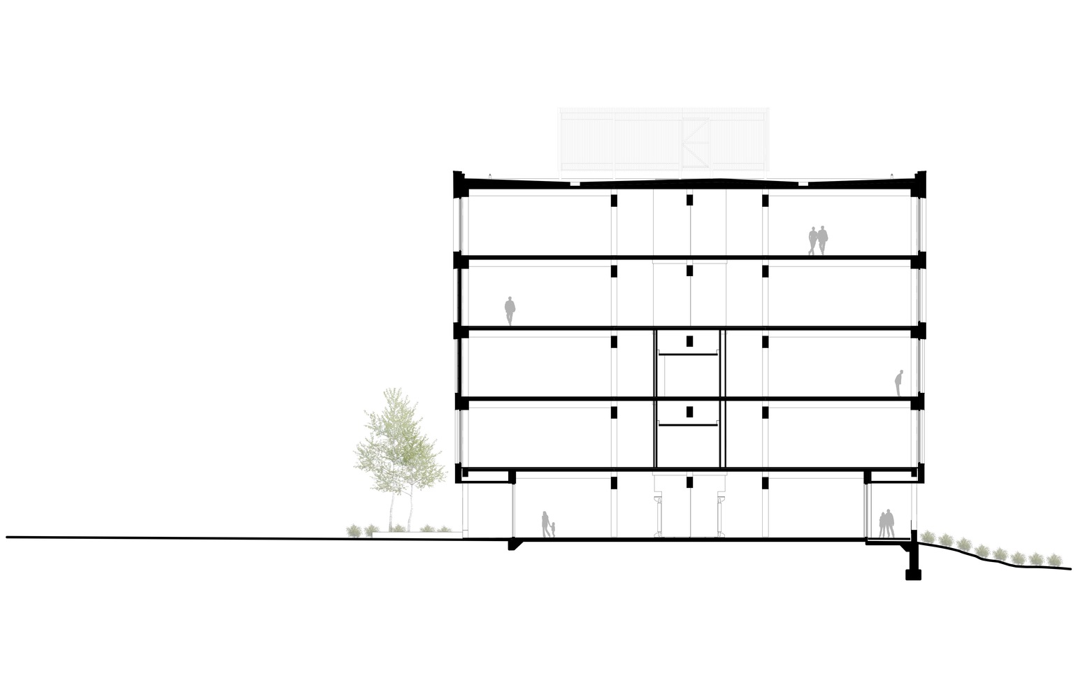 Catalyst Building / Michael Green Architecture,Cross section