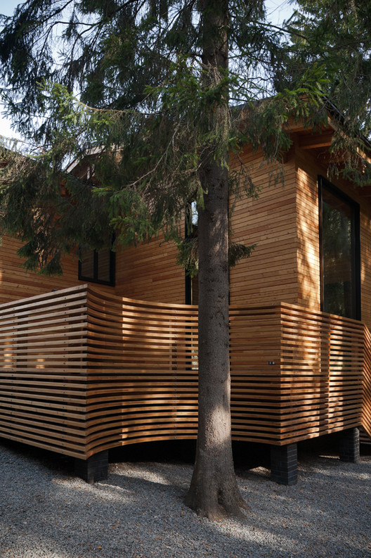 After All, Is Using Wood in Architecture Sustainable? - Image 10 of 12