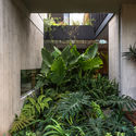 Casa GP / Plataforma de Arquitectura - Fotografía interior, Ventanas, Jardín