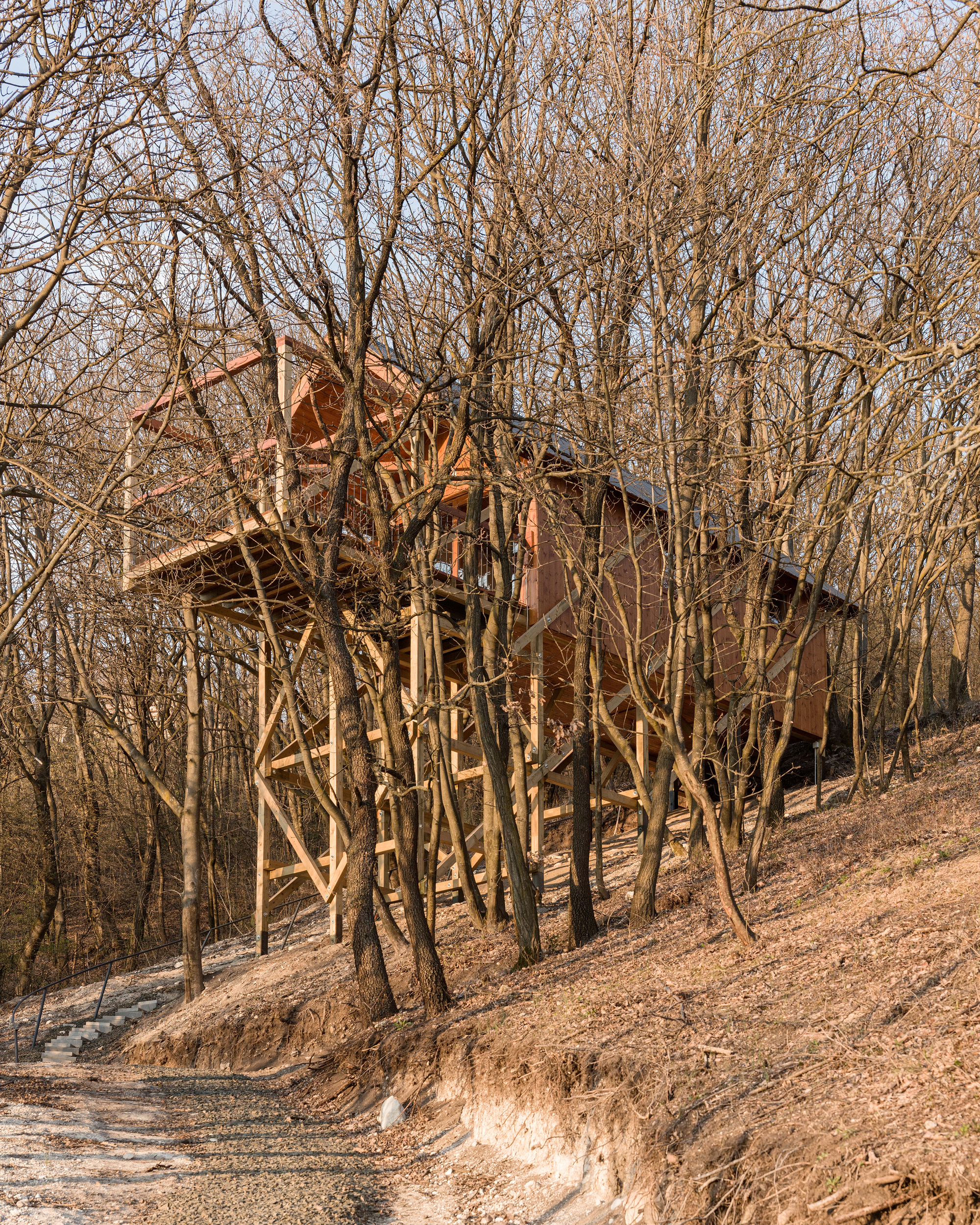 Gallery of House on 12 Legs / RJZS Architects 9