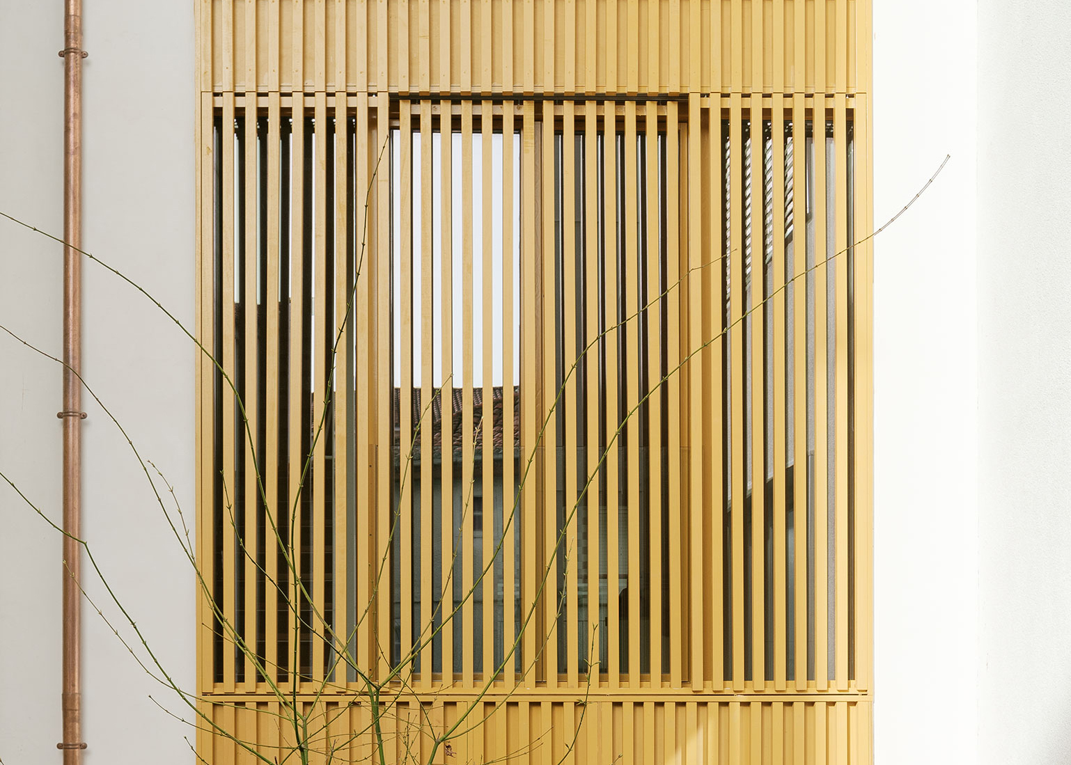 Gallery of Public Housing Vilar 3 / Müller.Feijoo 5