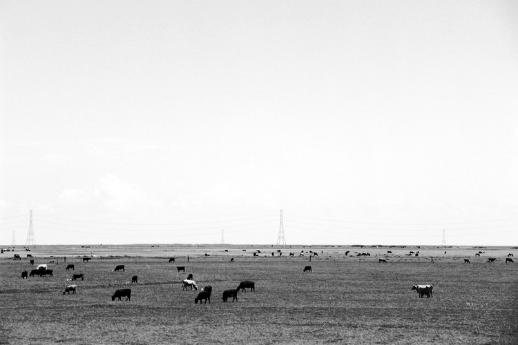 Explorando uma estética do frio e do rural: entrevista com sauermartins - Imagem 11 de 18