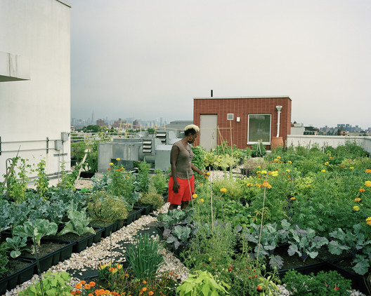 O que é agricultura urbana? - Imagem 1 de 5