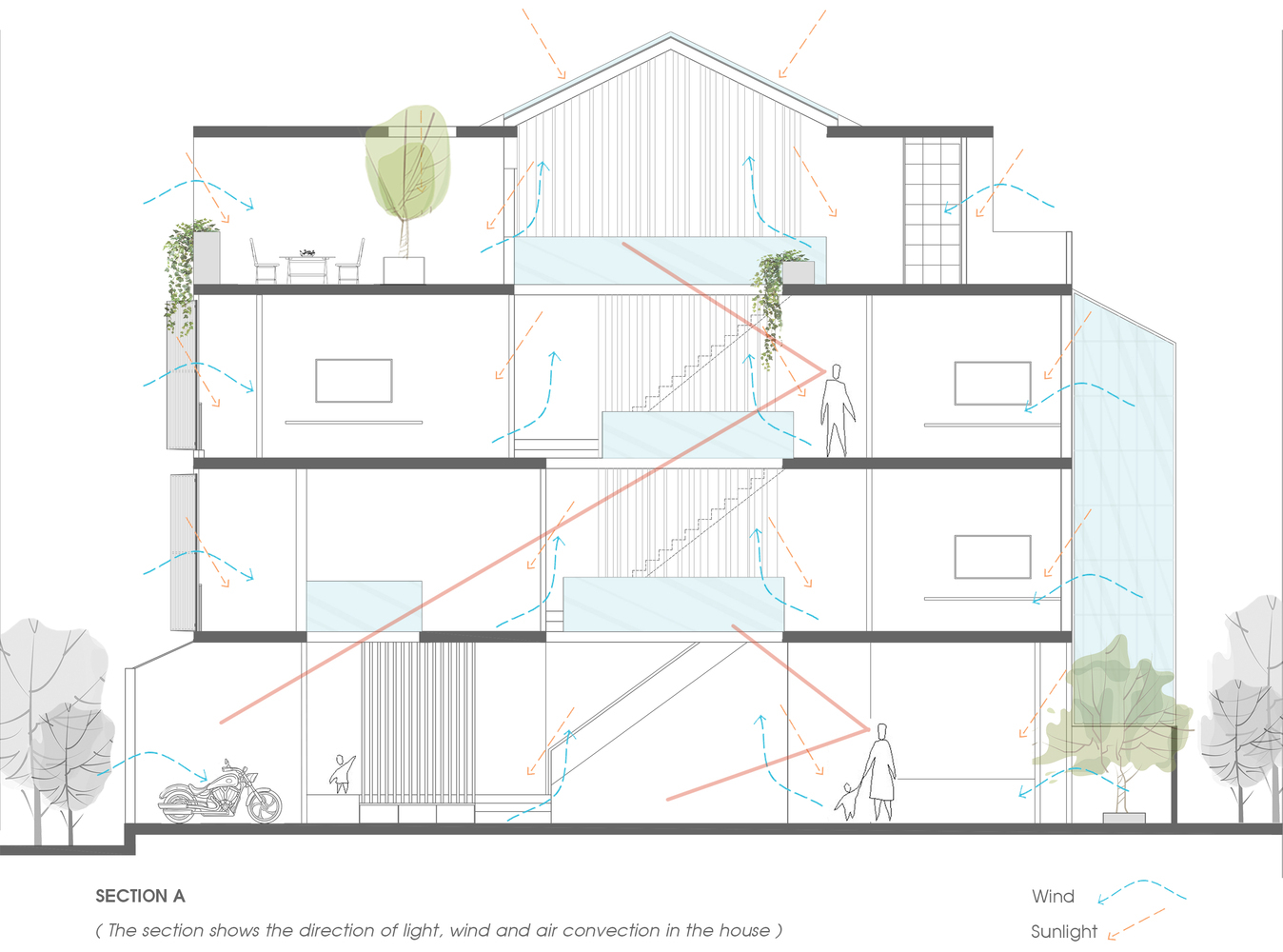 Gallery of Tube Houses 15 Projects Reinterpreting the Narrow