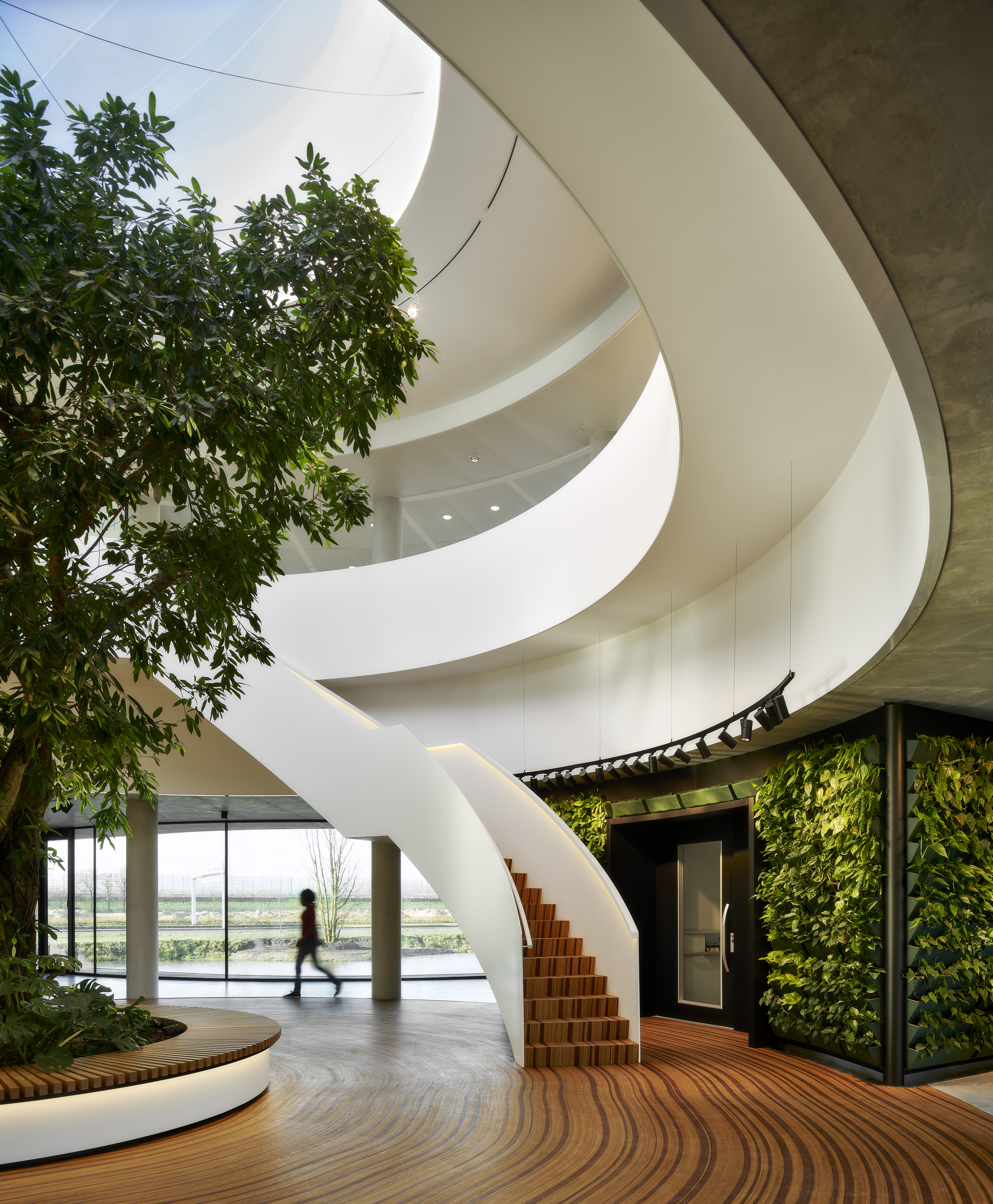 atrium アトリウム　Werner Blaser　 　本　建築　中庭　回廊 A large horizontal folding door opens the museum up to the