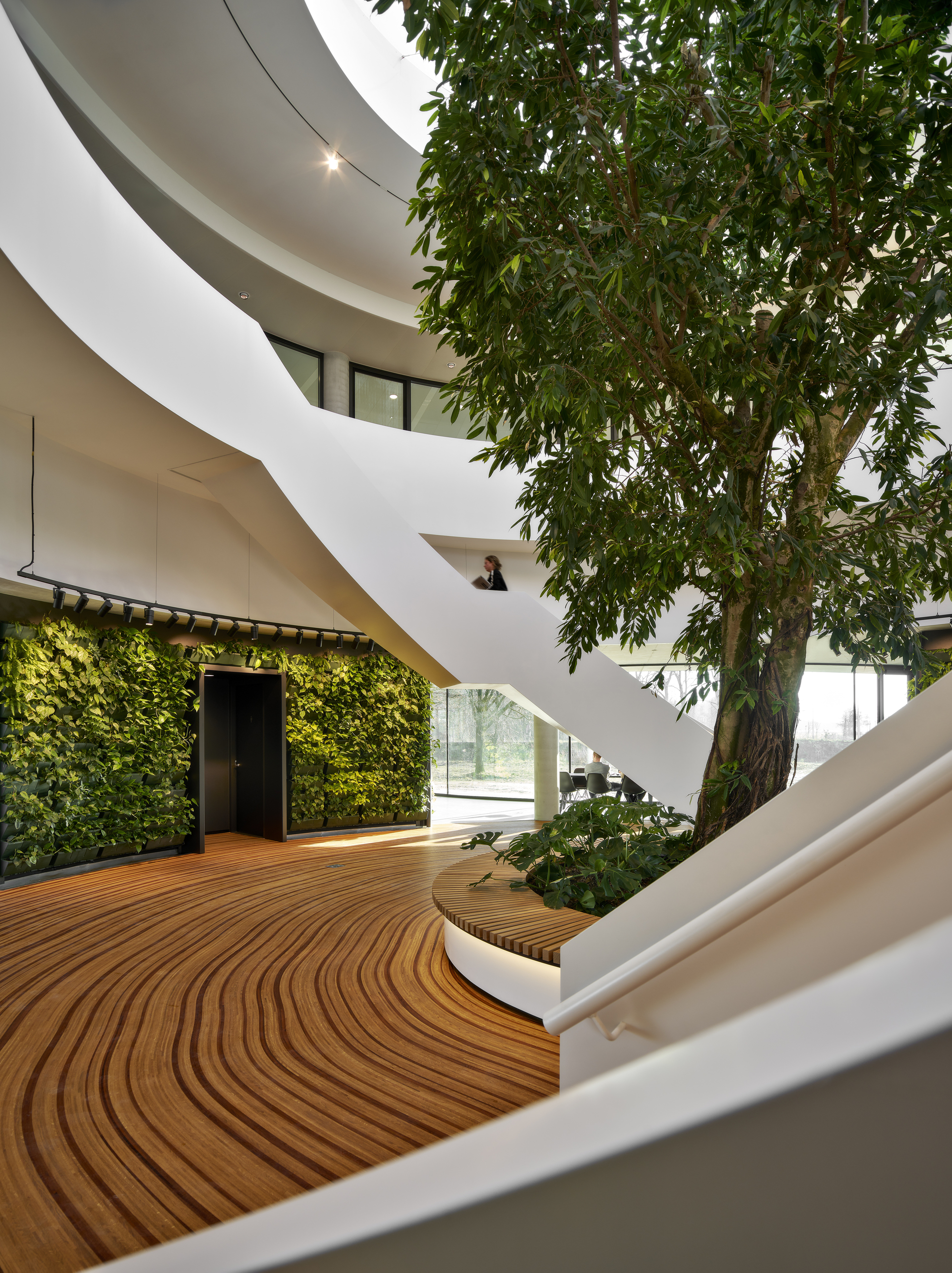atrium アトリウム　Werner Blaser　 　本　建築　中庭　回廊 A large horizontal folding door opens the museum up to the