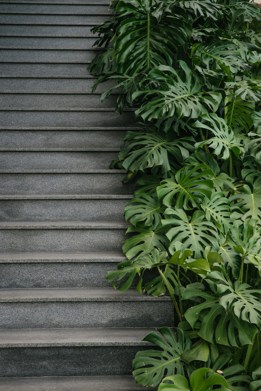 WJ House / Liga Arquitetura e Urbanismo WJ House / Liga Arquitetura e Urbanismo - Exterior Photography, Stairs