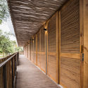 HippoFarm Bioclimatic Dormitories / T3 ARCHITECTS - Interior Photography, Wood, Deck
