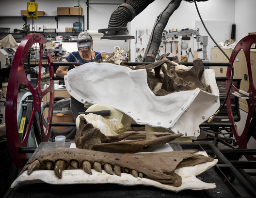 西雅图伯克博物馆 / Olson Kundig - 室内图