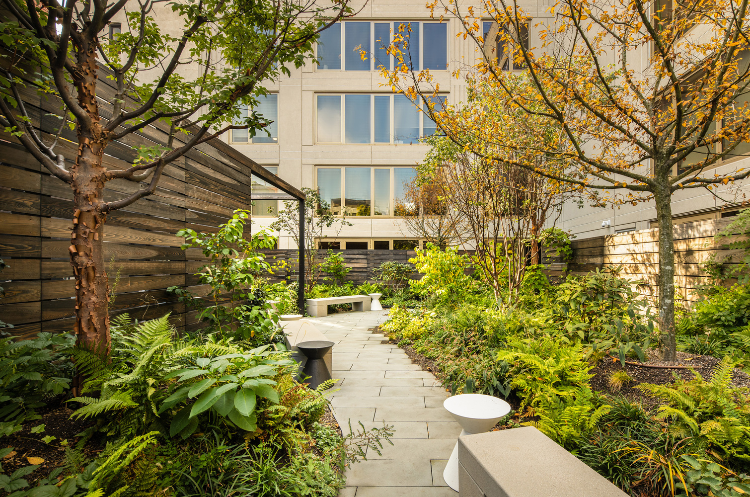 Gallery of 75 Kenmare Residential Building / Andre Kikoski 11