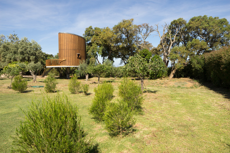 Casa da Árvore / RA+TR arquitectos - Fotografia de Exterior, Jardim