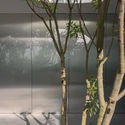 18 Villa Fifty Fifty Design Studioninedots Photography Frans Parthesius - Villa Fifty-Fifty / Studioninedots: Đưa &aacute;nh s&aacute;ng v&agrave; c&acirc;y xanh v&agrave;o trong nh&agrave; một c&aacute;ch tự nhi&ecirc;n