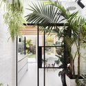 House for a Gardener / Amos Goldreich Architecture - Interior Photography, Windows