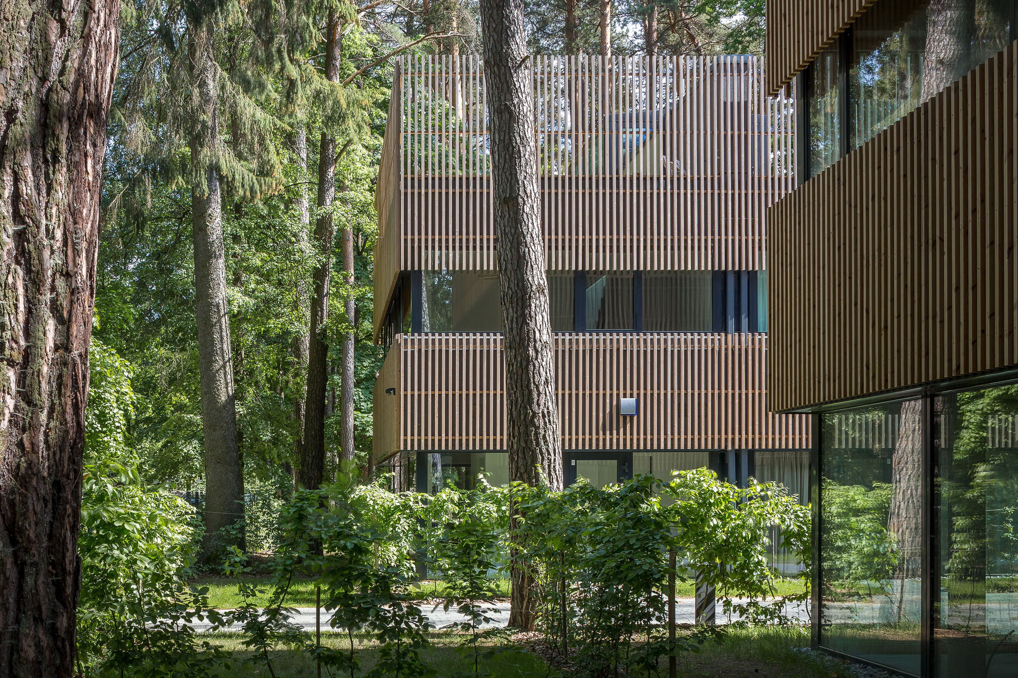 Gallery of Residential Houses in the Pinewood Near Vilnius / Paleko