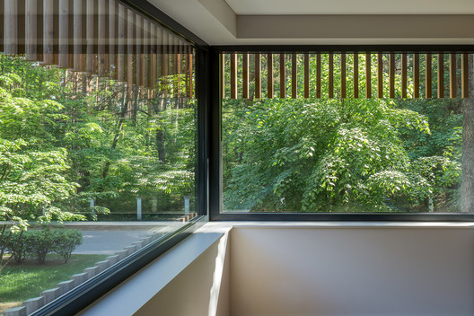 Residential Houses in the Pinewood Near Vilnius / Paleko architektu studija - Interior Photography, Garden