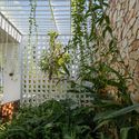 24 Times House - Time House nh&agrave; diện t&iacute;ch 8,4x56m Kh&ocirc;ng gian xanh l&agrave; v&ugrave;ng đệm nhằm ngăn tiếng ồn v&agrave; kh&oacute;i bụi.
