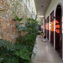 37 Times House - Time House nh&agrave; diện t&iacute;ch 8,4x56m Kh&ocirc;ng gian xanh l&agrave; v&ugrave;ng đệm nhằm ngăn tiếng ồn v&agrave; kh&oacute;i bụi.