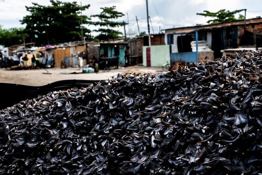 Circular economy project transforms sururu shells into cobogós in Alagoas Circular economy project transforms sururu shells into cobogós in Alagoas - Image 9 of 10