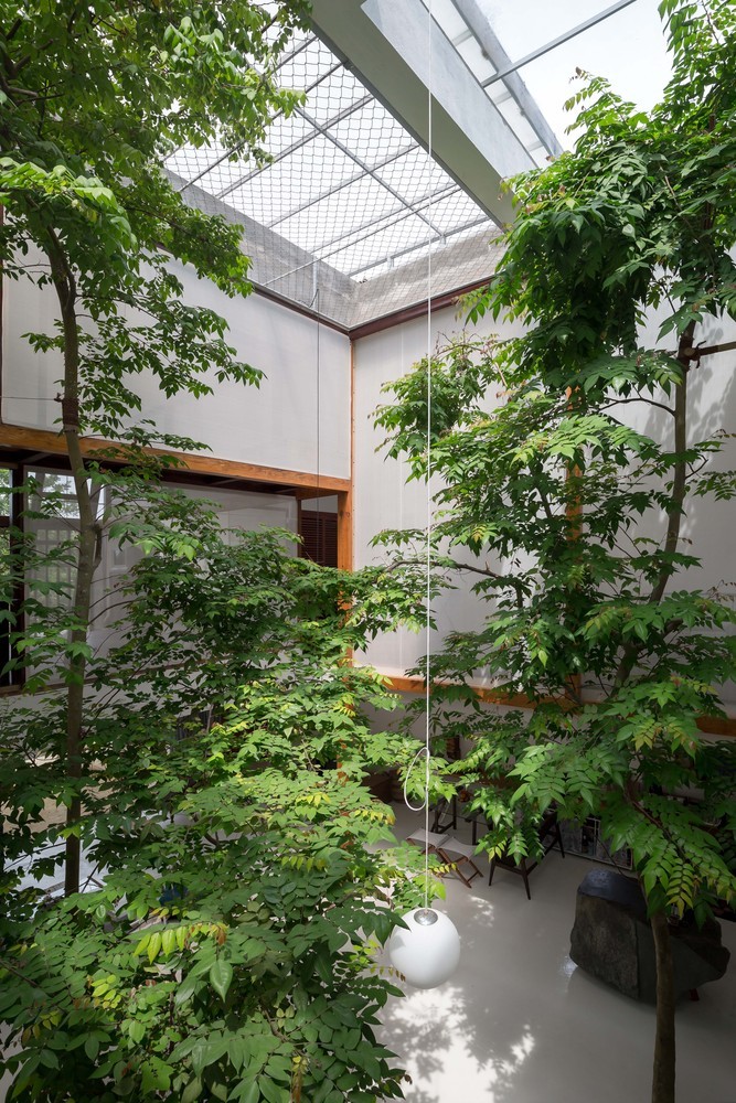 画廊 纵观全球的绿色室内设计趋势 - 12