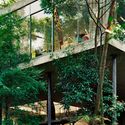 The Glass House and Lina Bo Bardi's Modern Dilemma - Image 2 of 4