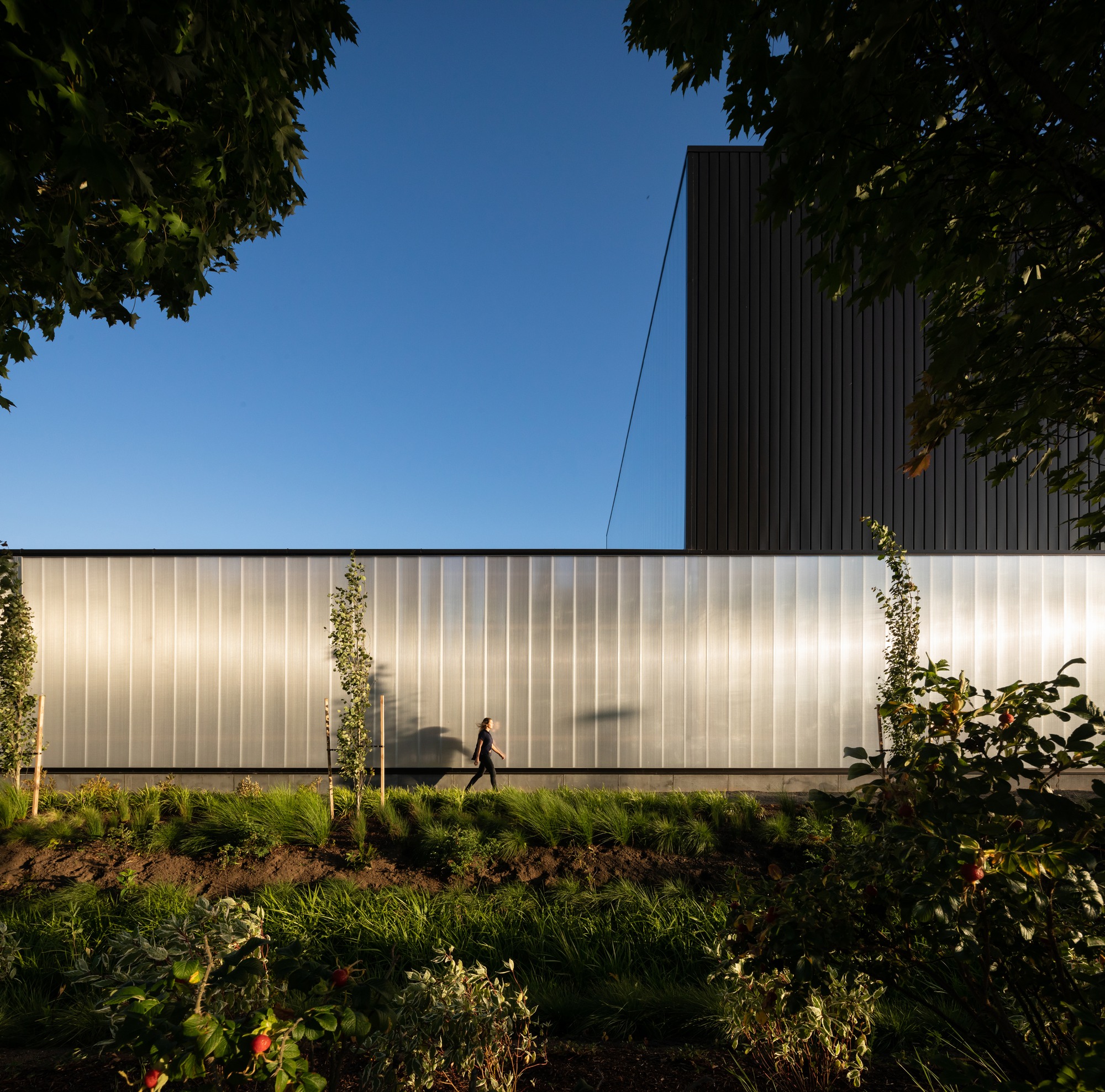 За и против защиты тропических лесов. Forest science. Журнал лес. Таблица пророчеств скайфордж. Science about forest book.