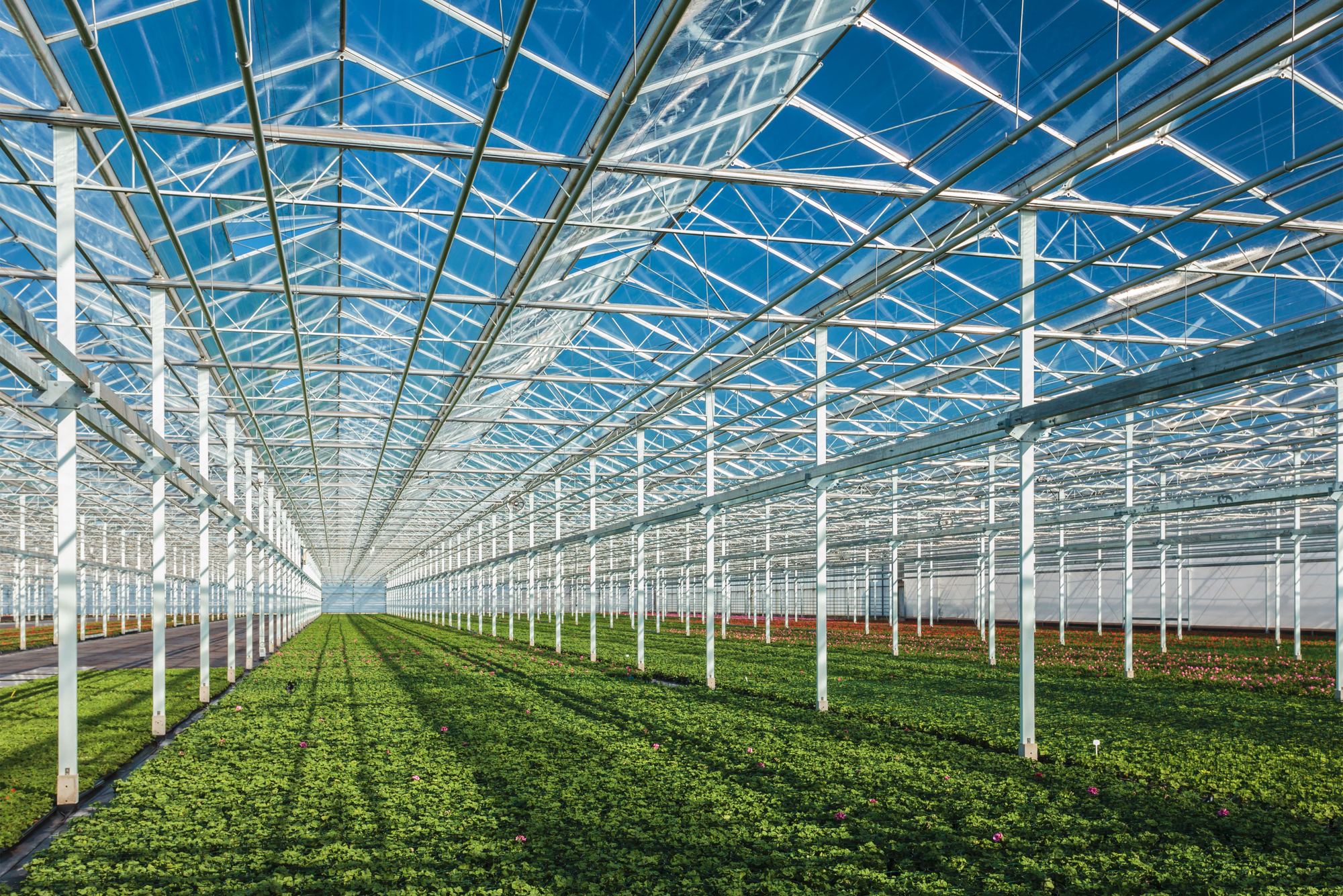 Gallery of Converting Sunlight to Electricity with Clear Solar Glass 3