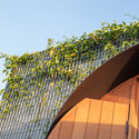145014 GardenWall2 MurrayFredericks - Totoro House: Ng&ocirc;i nh&agrave; vườn được chia th&agrave;nh 3 khu ri&ecirc;ng biệt