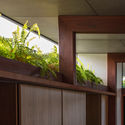 145025 LivingPlanterBe MurrayFredericks - Totoro House: Ng&ocirc;i nh&agrave; vườn được chia th&agrave;nh 3 khu ri&ecirc;ng biệt