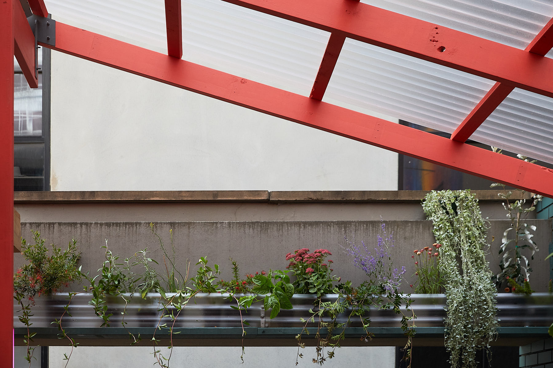 Gallery of Finding Infinity Develops a Zero-Carbon Strategy for ...