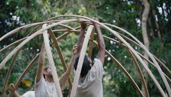 How Bamboo Bends to Create Curved Structures