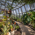 Tropicario Jardín botánico de Bogotá / DARP - De Arquitectura y Paisaje - Fotografía exterior, Paisaje