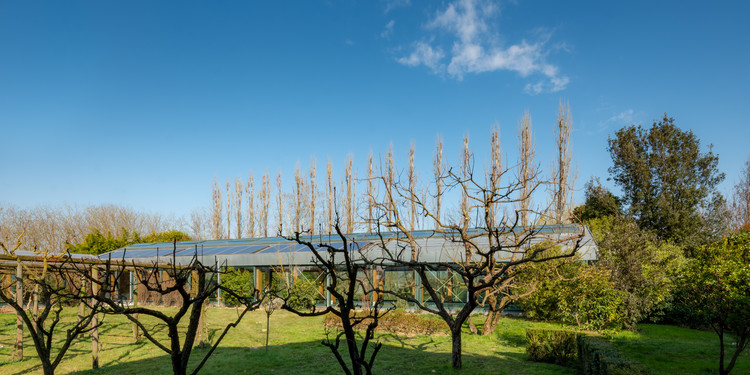 Casa Conte / Iscattolin - Exterior Photography, Forest, Garden