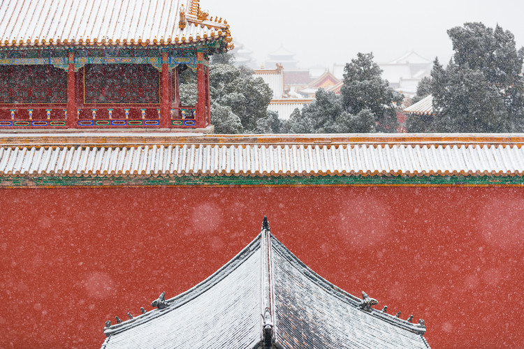 Chinese Pavilion at the 2021 Venice Biennale Reimagines Traditional Multi-family Courtyards - Image 4 of 5