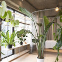 Salon PURETE / Yumiko Tokuno Architecture Office - Interior Photography, Wellness Interiors