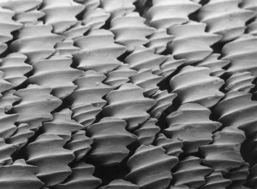 Materials at the Intersection of Nature, Technology, Art and Architecture Materials at the Intersection of Nature, Technology, Art and Architecture - Image 12 of 12
