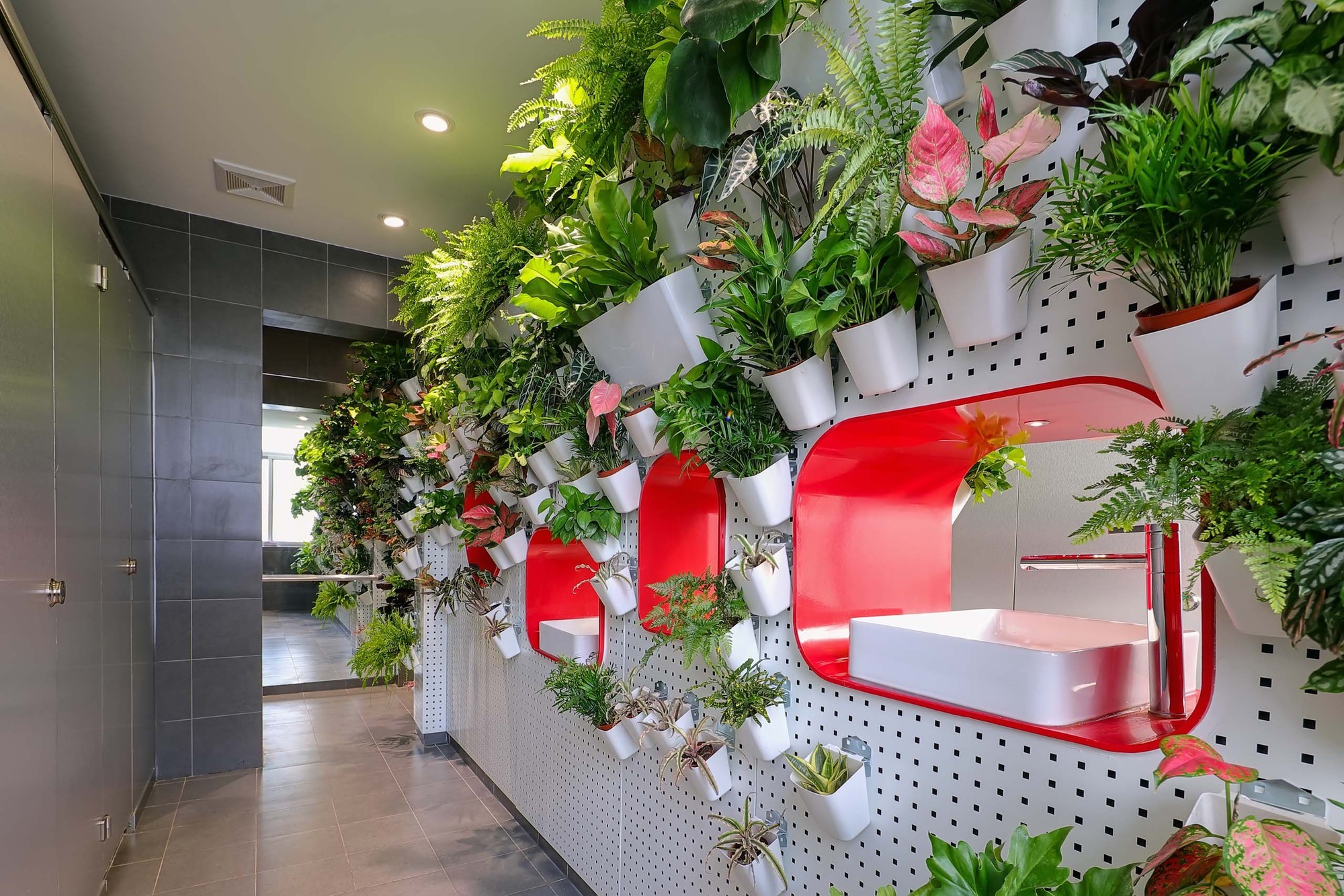 Gallery of Natural Tapestry Indoor Vertical Gardens in Different