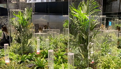 5 National Pavilions at the 2021 Venice Biennale that Explore Sustainability and Climate Change