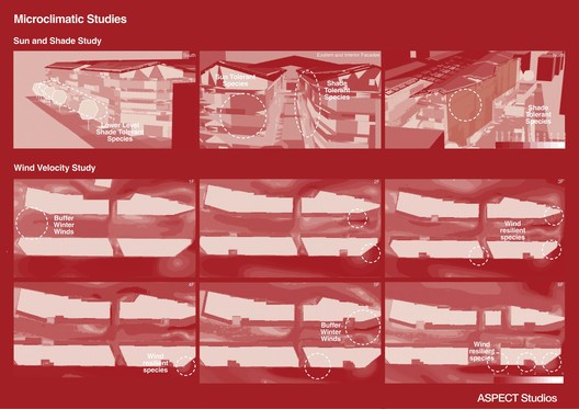 恒基·旭辉新天地景观设计 / ASPECT Studios - 20 的图像 38