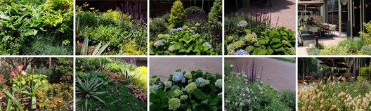 恒基·旭辉新天地景观设计 / ASPECT Studios - 18 的图像 38