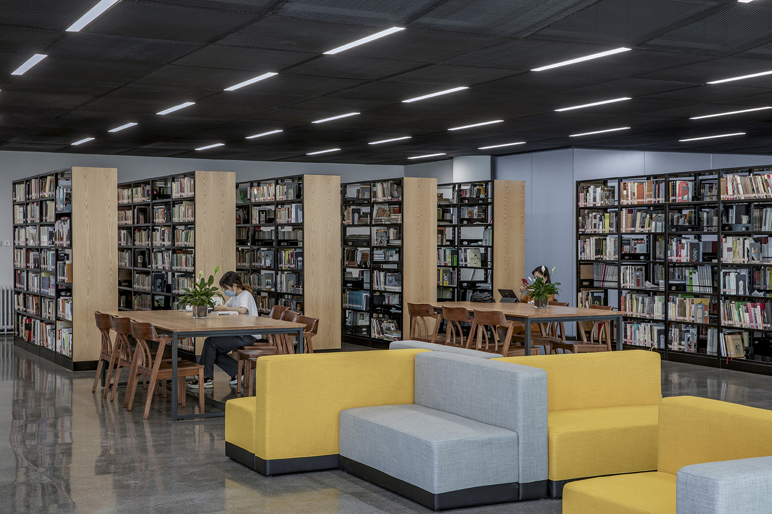 Fjs Library. Design Gallery of Reconstruction of Yanjiao Campus Library of Central Academy ...